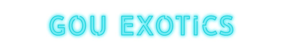 Custom Neon: Gou Exotics by Neon Icons